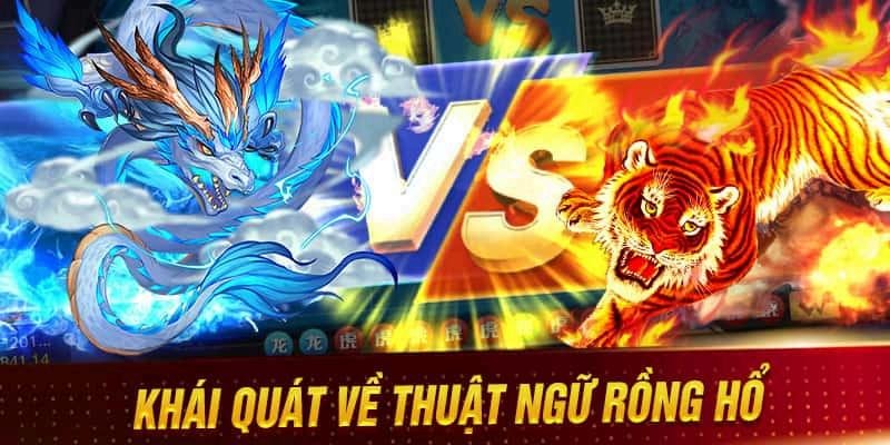 Những thuật ngữ thường được dùng nhất trong game Rồng Hổ