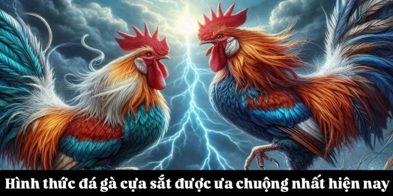 Hình thức đá gà cựa sắt được ưa chuộng nhất hiện nay