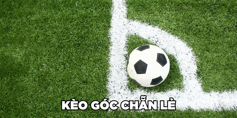 Kèo góc chẵn lẻ