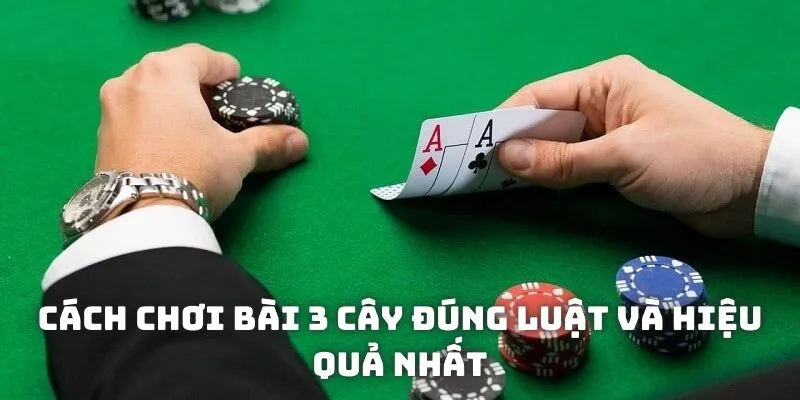 Cách chơi bài 3 cây đúng luật và hiệu quả nhất