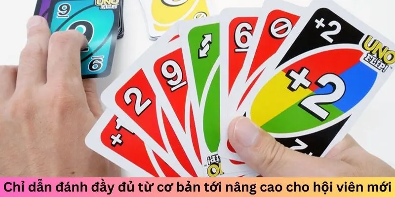 Chỉ dẫn đánh đầy đủ từ cơ bản tới nâng cao cho hội viên mới