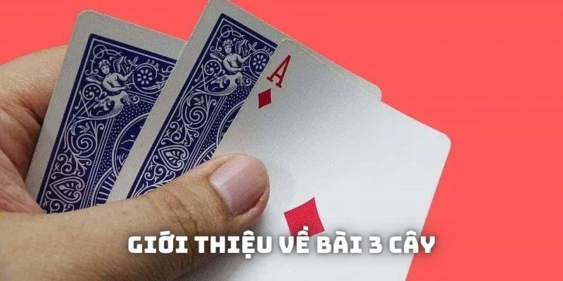 Giới thiệu về bài 3 cây